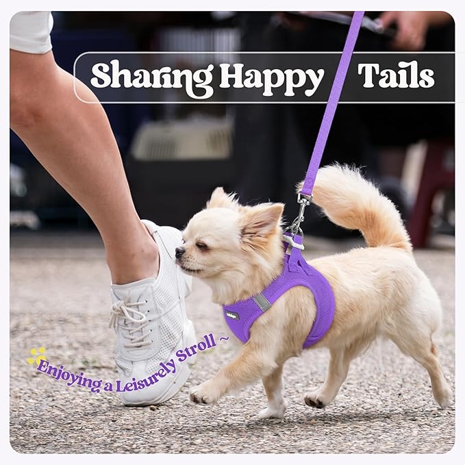 rabbitgoo Dog Harness Small Sized and Leash Set, Step in Soft Light Puppy Vest, Breathable Mesh Pet Harness, Reflective for Safe Outdoor Walking, Purple XS