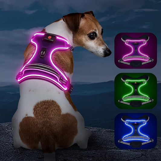 Light Up Dog Harness, No Pull LED Dog Harness with Handle, Rechargeable Lighted Safety Vest for Small Medium Large Dogs, Adjustable Soft Dog Lights for Night Walking