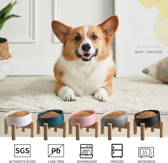 White Elevated/Raised 15°Tilted Anti Slip Ceramic Dog Bowl for Medium & Large Breeds,Slanted Bulldog Big Face Pet Food Water Feeding Dish with Stand (7.6 Cups/60OZ)