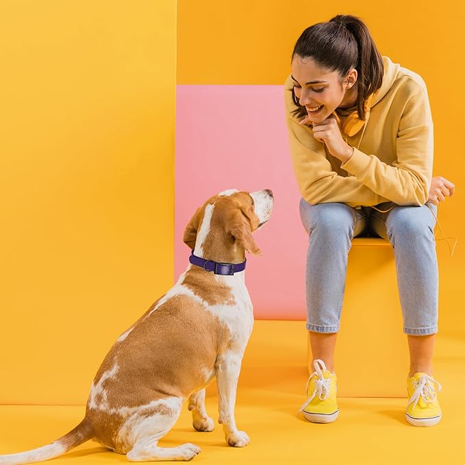 Dogline Biothane Waterproof Dog Collar Strong Coated Nylon Webbing with Black Hardware Odor- Proof for Easy Care Easy to Clean High Performance Fits Small Medium or Large Dogs, Violet Purple