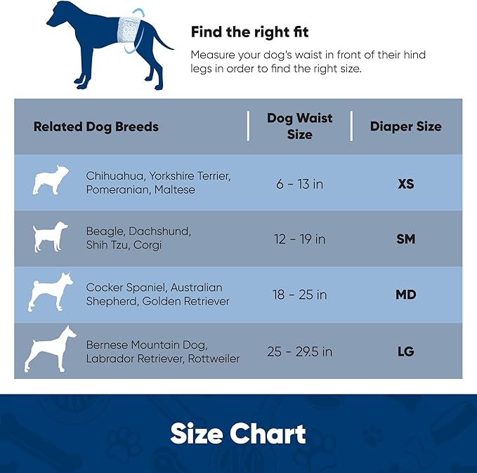 American Kennel Club Male Dog Wrap, Disposable Diapers with Wetness Indicator, Small, 50 Count