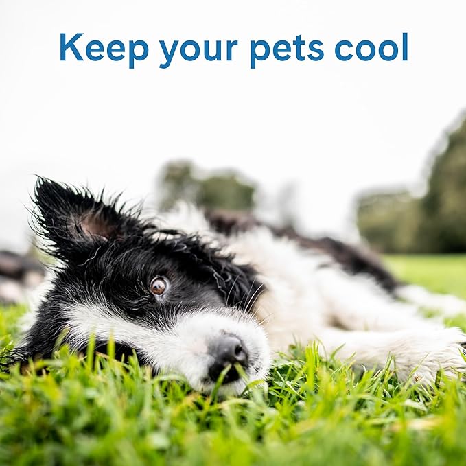 The Green Pet Shop Cool Pet Pad - Extra Small, Disney’s Stitch - Self-Cooling, Pressure Activated Mat for Dogs & Cats from 0-8 lbs - Non-Toxic Gel, No Water Needed