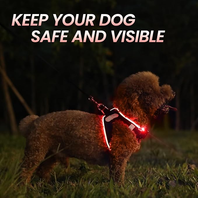 PceoTllar Light Up Dog Harness, LED No Pull Reflective Dog Harness, Flashing Lighted for Night Walking - Small/Medium, (Black Red,s)