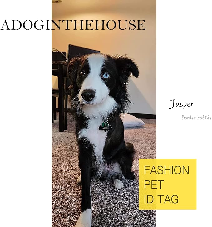 Premium 316 Surgical Grade Stainless Steel Personalized Dog & Cat ID Tags - Fun Shapes for Sporty Outdoor Pets - Custom Engraved Name & Info for Collar Accessories & Pet Necklaces Square 5 Color