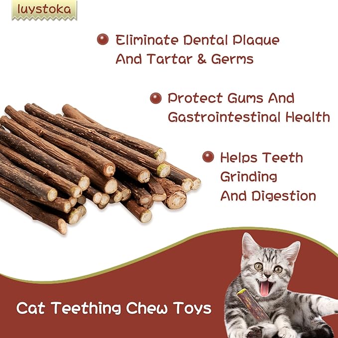 Cat Toys - Silvervine & Matatabi Catnip Toys, 10PCS Indoor Kitty Chew Sticks & Wand Toys for Bored Cats