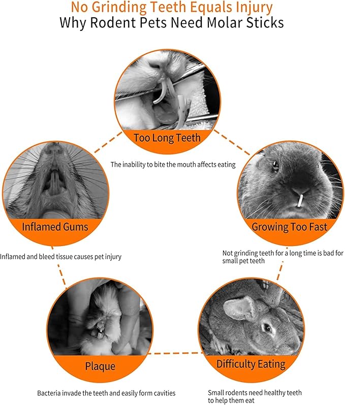 600g Apple Sticks Molar Wood Treats, Rabbit Toys Chinchilla Guinea Pig Bunny Toys Wood Chews Sticks for Teeth Rabbit Food Guinea Pig Hamster Gerbil Chews Small Animals Snacks(150 Pcs)