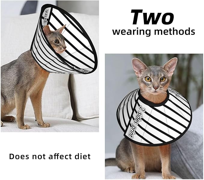 Custom Cat Cone Collar Soft Lick Prevention Pet Recovery Collar for Spay Safety Elizabethan Collar