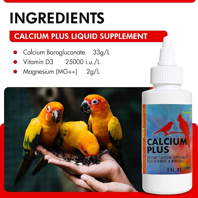 Morning Bird Calcium Plus Liquid Supplement for Birds - Liquid Calcium Formula with Magnesium and Vitamin D3 Calcium Supplement for All Birds – 2 Fl Oz