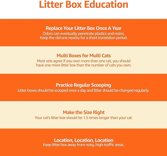 Amazon Basics Large Cat Litter Box with High Sides, Top Entry, Includes Scoop, 20.5 x 14.75 x 14.38 inches, Grey