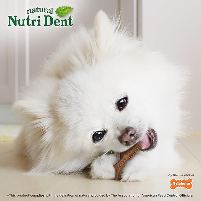 Nylabone Nutri Dent Dog Dental Chews - Natural Dog Teeth Cleaning & Breath Freshener - Dental Treats for Dogs - Filet Mignon Flavor, Mini (32 Count) (Pack of 2)