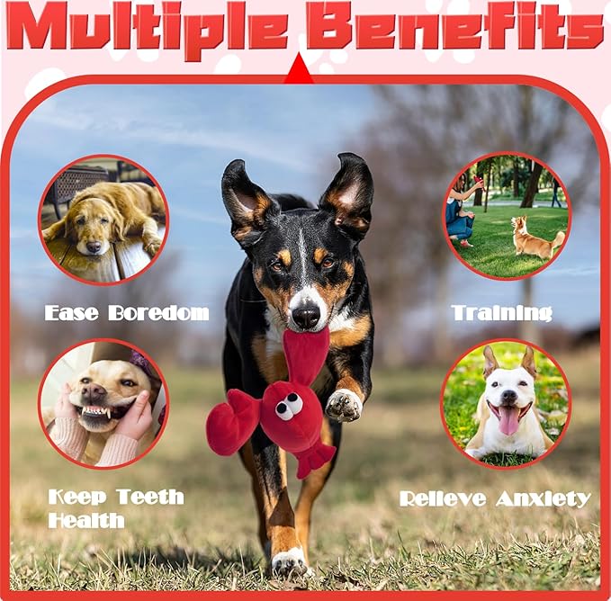 JKW Squeaky Dog Toy for Small & Medium Dogs, Puppy Plush Toys (S, Lobster)