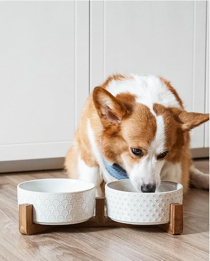 Dog Bowls Ceramic for Small Medium Dogs - 3-Cup Dual Food & Water Bowl Set with Acacia Wood Stand, Non-Slip Anti-Tip Elevated Design