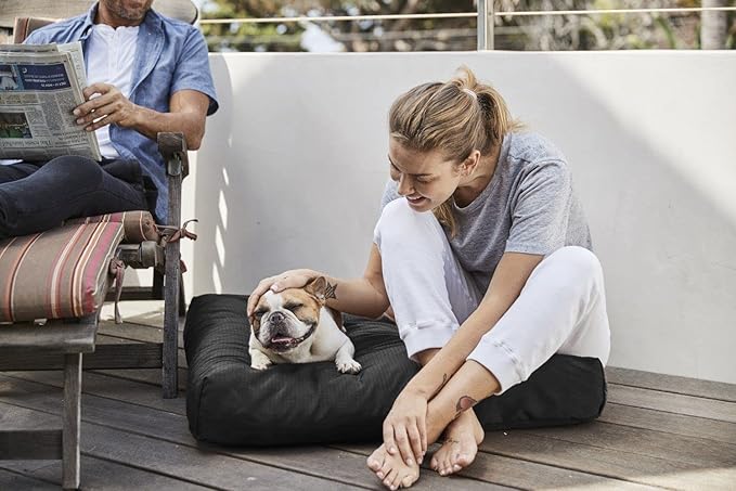 K9 Ballistics Tough Rectangle Pillow Medium Dog Bed - Removable Cover, Washable, Durable & Water Resistant Dog Bed Made for Small Dogs 24"x18" Obsidian Black