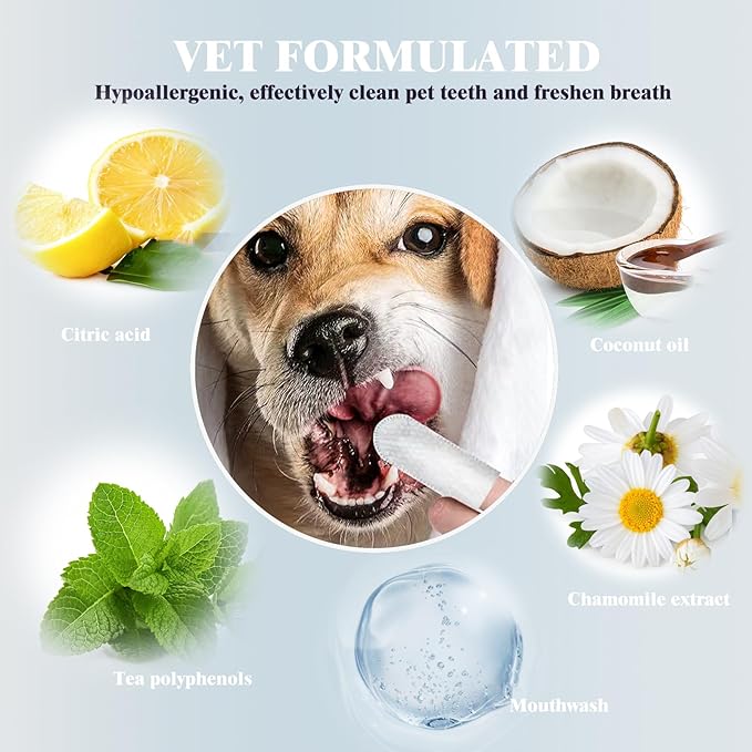 Cat Steam Brush, Pet Steam Brush for Cat & Dog, Mist Spray Comb, Spritz Defur Tool, Water Grooming Kit, Dog Hair Removal Steam Cleaner with Release Button Contains 1*Shampoo, Dental Wipes