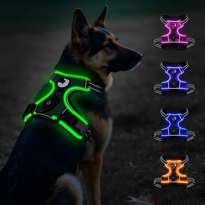Taglory Light Up Dog Harness, Rechargeable No Pull Dog Vest with 3 Lightning Modes, Reflective Dog Harness with 2 Leash Clips & 4 Adjustable Slide Strips for Large Dogs, Turquoise-Green, XL
