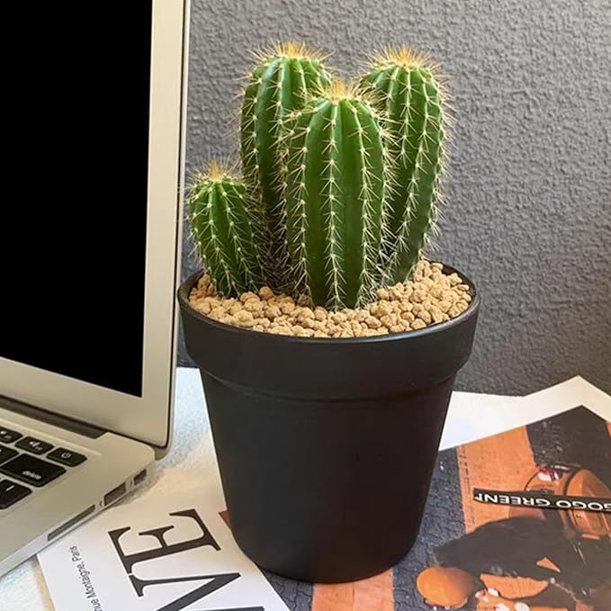 2 lbs Maifanitum Stones for Succulent,1/4 Inch Decorative Rocks for Indoor Plants, Bonsai, Soil Cover. Small Stone of Lightweight for Promote Soil Root Growth, Water Drainage and Plant Growth