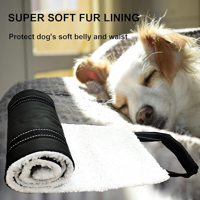 Leather Dog Lift Harness for Small Dogs,Doggie Walking Sling,Puppy Belly Support Strap,Pet Assist Harness for Senior,Injured,Disabled Dogs After ACL Surgery S