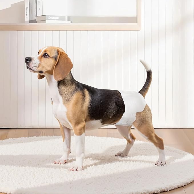 VEVOR Disposable Dog Diapers, Super Absorbent Female Dog Diapers, 360° Leak-Proof Female Doggy Pet Diaper with Wetness Indicator for Heat Period, Training, Incontinence - XS, 144 Count (2 Packs of 72)