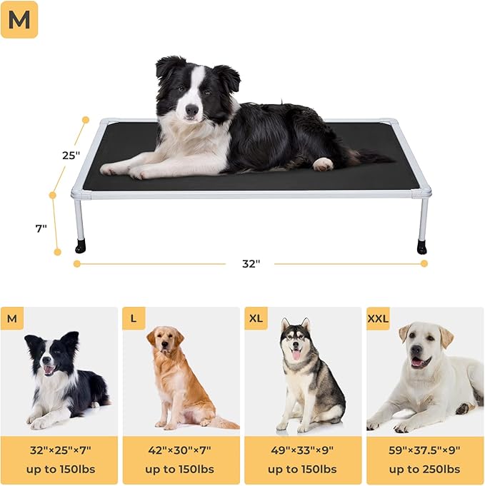 Veehoo Chewproof Elevated Dog Bed - Cooling Raised Pet Cot, Breathable Mesh, Washable & Non-Slip for Medium Dogs, Indoor/Outdoor, Black Mat and Silver Metal Frame, 32x25inches (Model CWC2203B03)