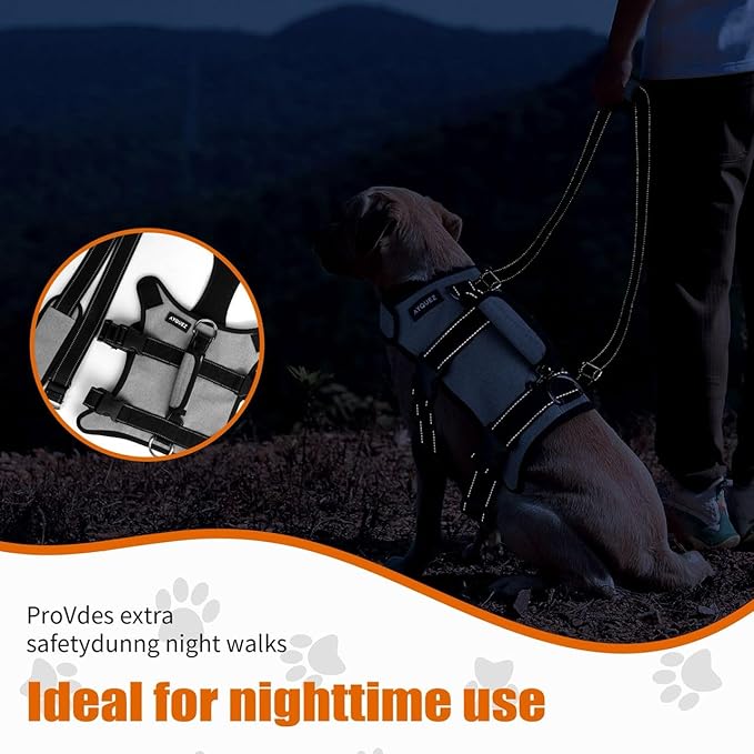 Ayquez Dog Lift Harness with Storage and Transport Bag, Dog Harness with Handle for Lifting & Hip dysplasia, arnés para Perros pequeños, pechera para Perros (Gray, M)