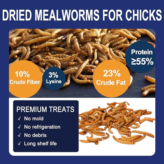 RANZ 10LBS Non-GMO Dried Mealworms for Chickens, High Protein Meal Worms, Premium Chicken Feed, Perfect Bird Food and Chicken Treats, Whole Large Mealworms for Wild Birds, Ducks, Fish