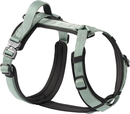 CLEPAWS Dog Harness for Medium Dogs, No Pull Dog Harness Easy Walk with Metal Hardware, Ergonomic Y-Shaped Design, Soft Padding, Padded Handle, Durable High-Tensile Nylon (Seabreeze, M)