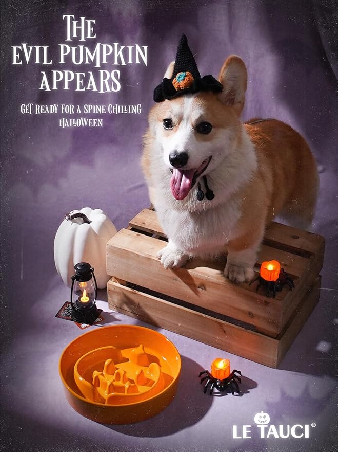 LE TAUCI Ceramic Puzzle Feeder Elevated 3 Cup with Wood Stand for Small Medium Dog & Puppy, Fast Eater Raised Dish Pumpkin Orange