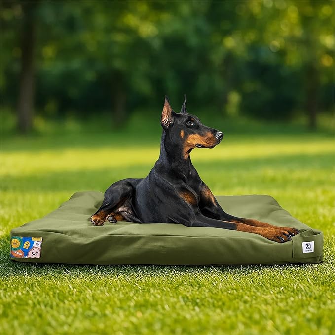 Sytopia 42-Inch Canvas Indestructible Outdoor Dog Bed, Waterproof & Washable with Removable Cover, Ideal for Medium & Large Dogs, Chew-Proof Great for Indoor, Outdoor, Crate, Patio Use (Green)
