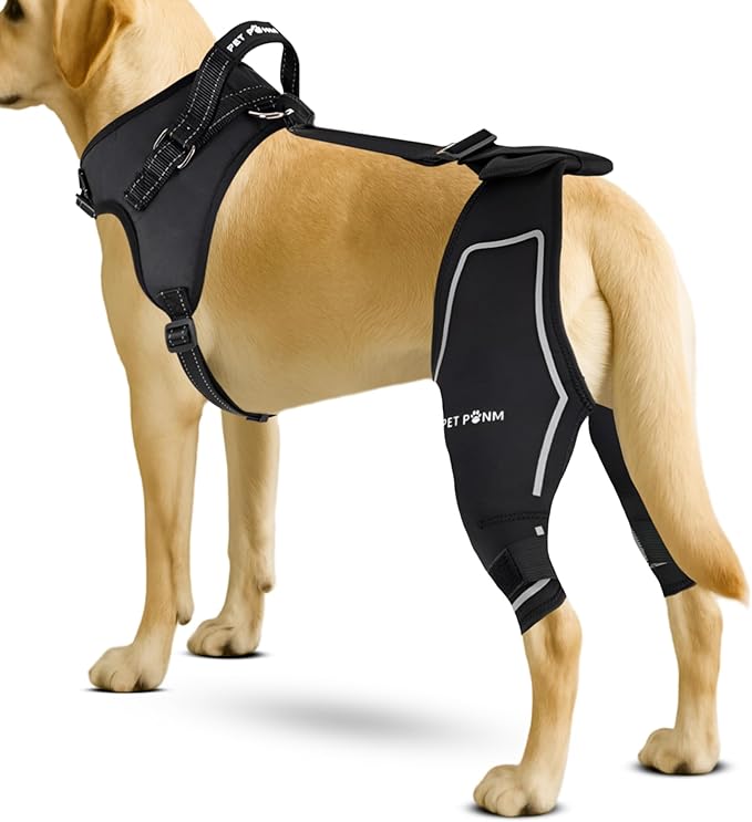 Comfortable Dog Knee Brace for Both Hind Legs with Harness - for ACL Tear, Luxating Patellae, Osteoarthritis & Instability - for Recovery & Injury Prevention in Active/Aging Dogs - (XSmall)