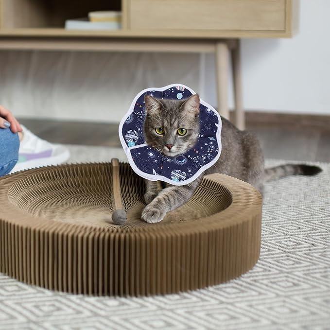 Soft Adjustable Cat Cone Collar Lightweight Cat Recovery Collar to Stop Licking Protective Cats Neck Cone After Surgery for Small Animal Cats Kittens Puppies After Surgery Grooming
