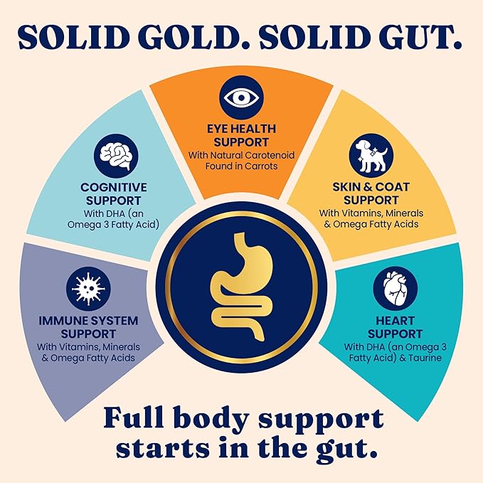 Solid Gold Dry Cat Food for Indoor Cats of All Ages - W/Lamb, Brown Rice, Barley, Probiotics & Fiber for Gut Health- Holistic & Healthy Cat Kibble for Kittens & Adults - Dry Kibble for Cats - 4 LB