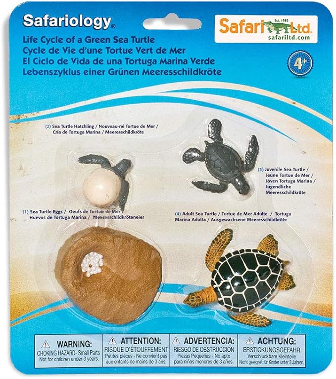 Safari Ltd. Life Cycle of a Green Sea Turtle - Educational Toy Figurines - Miniature Turtle Lifecycle Collection for Boys, Girls & Kids Age 4+