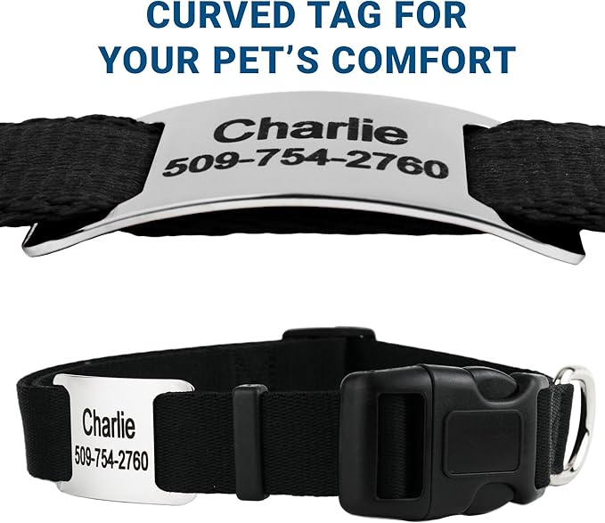 GoTags Reflective Personalized Dog Collar with Nameplate, Adjustable Dog Collar with Custom Engraved Steel Slide On Pet ID Tag, Silent, No Noise Dog Tag for Large Medium or Small (Charcoal, Large)
