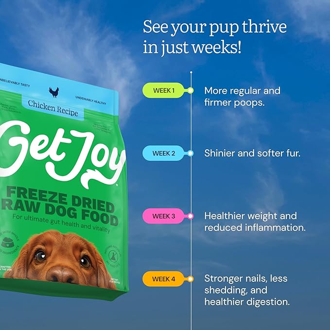 Get Joy Gut Health Fresh Freeze Dried Raw Meal, Chicken Recipe, 32 Ounce Bag, Dog Food for Dogs of All Breeds and Life Stages, PhD Animal Nutritionist Formulated, Made in USA