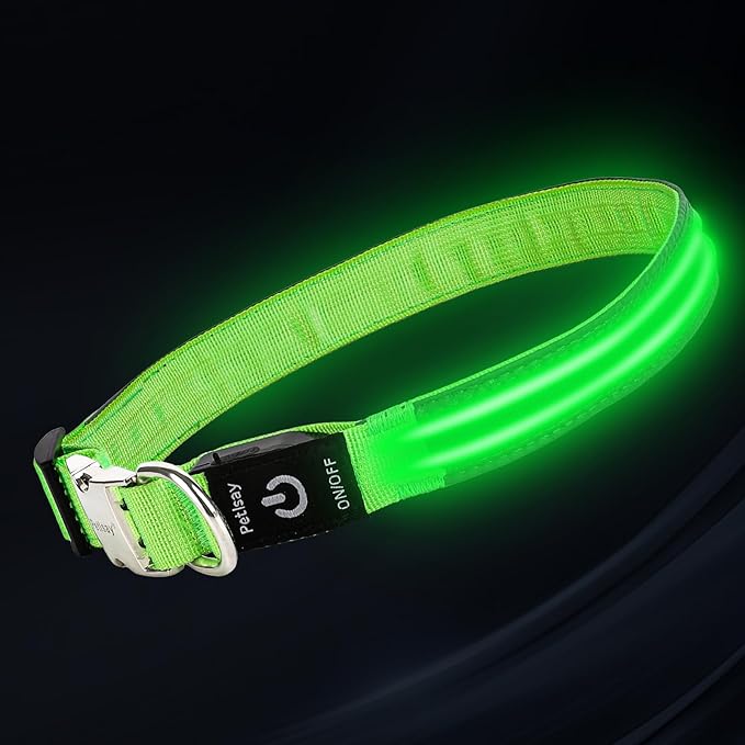 LED Dog Collar with Metal Buckle - USB Rechargeable Glow Collar for Dogs, Waterproof Light Up Dog Collar w/Reflective Strips - Adjustable Night Safety Collars by PetIsay(Green,Large)