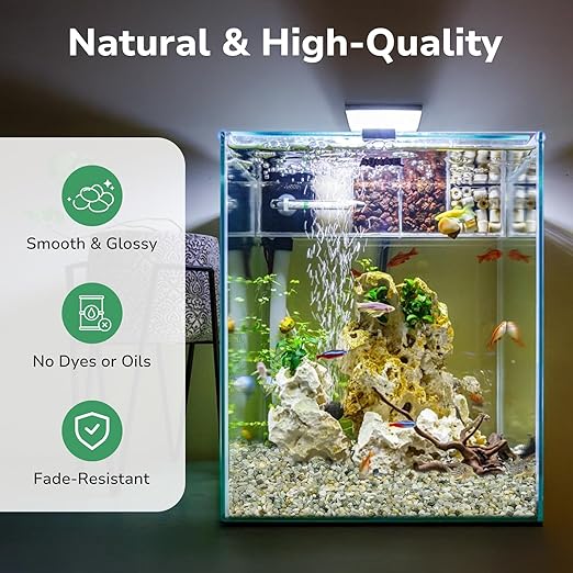 GreatBuddy 5-lb Decorative Rocks for Indoor Plants, 3/8" Jade Pebbles for Planters, Gravel for Succulent, Vases, Bamboo, Garden Landscaping, Crafts, Aquariums, Natural Polished