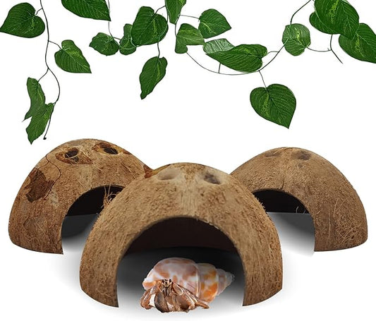 Hamiledyi Reptile Hideouts Natural Coconut Shells Hut Hermit Crab Climbing Toys Gecko Hide Cave Lizard Habitat Decor Plant Leaves Decoration for Spider Snake Chameleon (4Pcs)