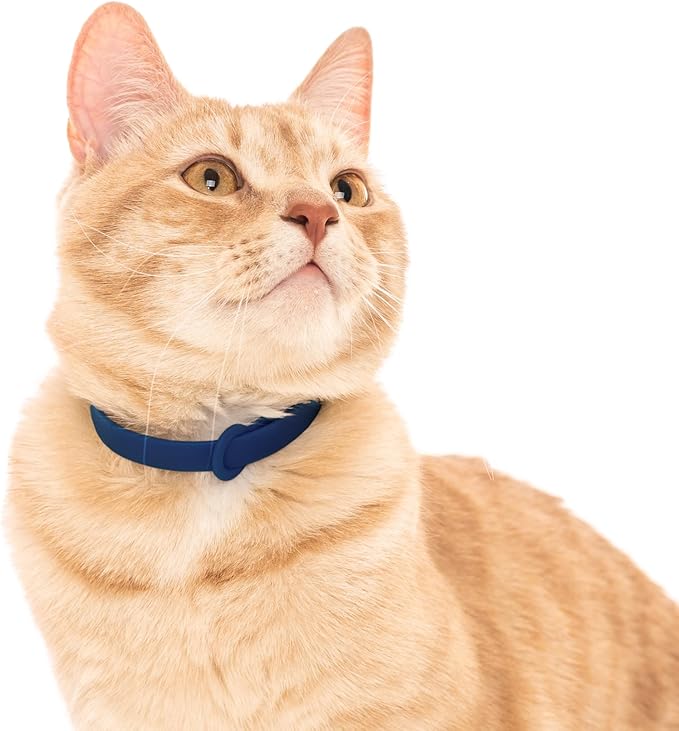 Break Away Collar for Cats - Soft, Thin, and Lightweight Safety Buckle Collar with Name Tag Ring for Outdoor Cats and Sensitive Skin Kittens by Nuvuq (6 ⅞" to 10 ¼", Dark Blue)