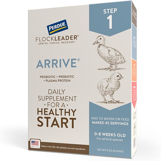 Arrive, Daily Probiotic & Prebiotic Poultry Supplement for Young Chickens 0-8 Weeks Old, 8 oz
