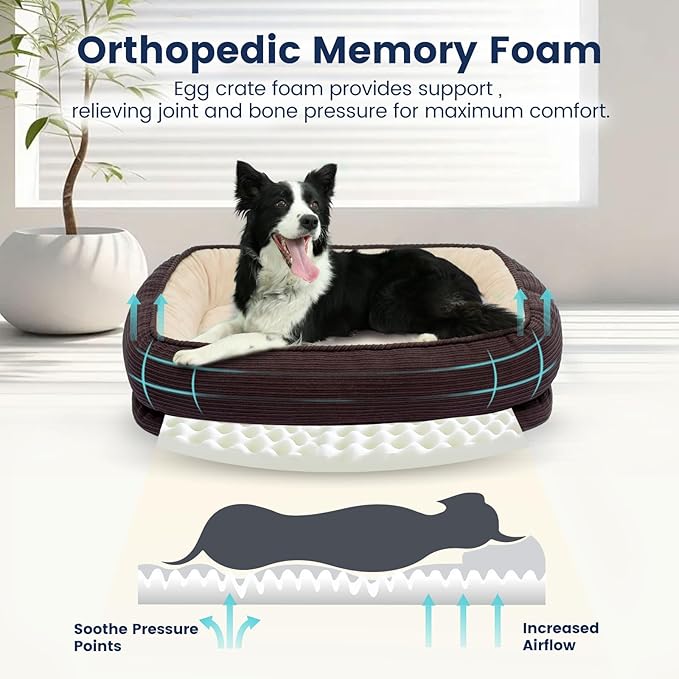 Orthopedic Dog Bed Small Washable, Egg Crate Foam Cat Bed for Senior Cat,Oval Kennel Bed, Pet Couch Bed with Four Sided Bolster, Removable Washable Cover Non-Slip Bottom, Brown