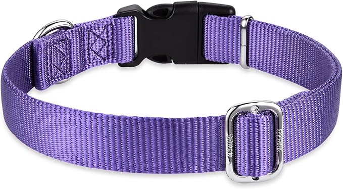Hyhug Pets Solid Color Classic Regular Heavy Duty Basic Collar for Small Dogs, Unique Design Adjustment Triglide Slide (Buckle) Can Attached Name Tag Accessories. (Small, Ultra Violet)