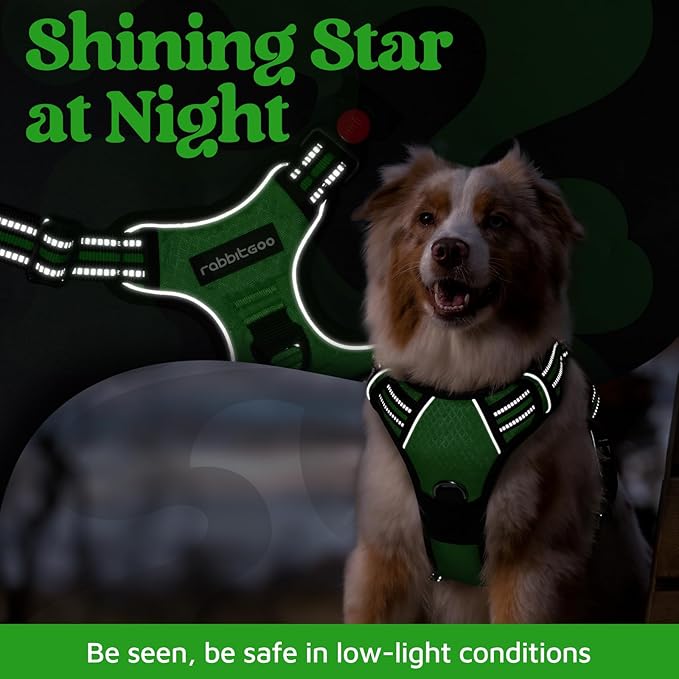rabbitgoo Dog Harness for Large Dogs, No Pull Pet Vest with 3 Buckles, Adjustable Soft Padded Pet Harness with Easy Control Handle and Reflective Strips, Green, XL