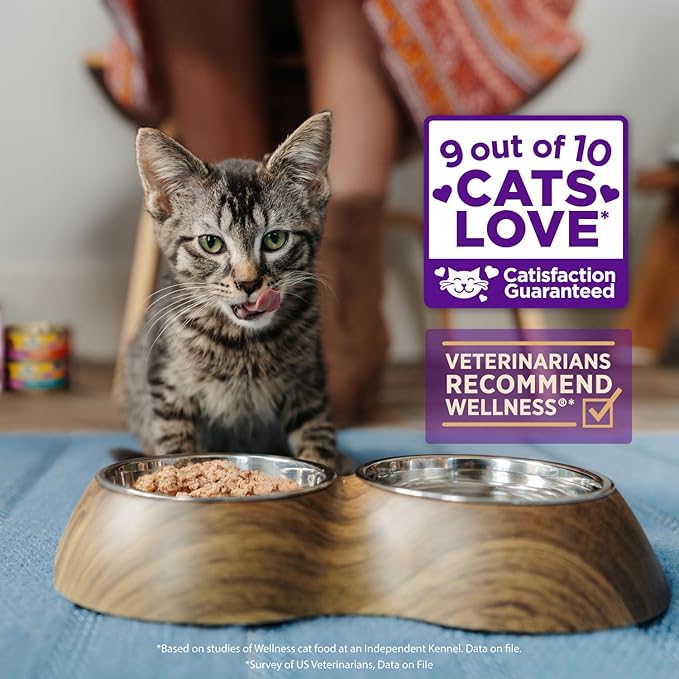 Wellness Healthy Indulgence Gravy Adult Wet Cat Food, Natural, Protein-Rich, Grain Free, 3 Ounce Pouch, 24 Pack, (Tuna & Mackerel)