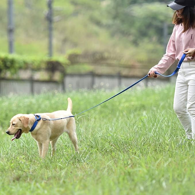 Hyhug Martingale Dog Collar Without Buckle: Escape Proof, No Slip Heavy Duty Nylon, Colorfast and Adjustable Pet Supplies for Medium Breeds (Medium,Bright Blue)
