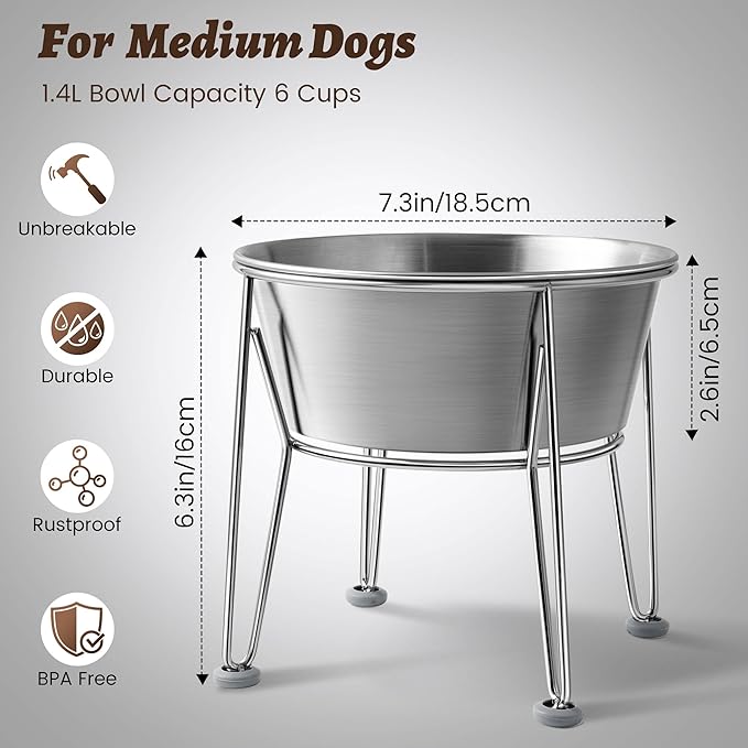 Elevated Dog Bowls for Medium&Small Dogs - Stainless Steel 48oz/6 Cups Raised Feeder with Non-Slip Base, Dual Food & Water Bowls 2-Pack