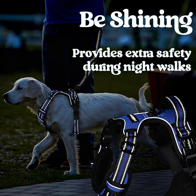 rabbitgoo Dog Harness for Large, No Pull Pet Harness with 3 Buckles, Adjustable Soft Padded Vest with Control Handle, Walking Reflective Pet Vest for Large Dogs, Blue, L