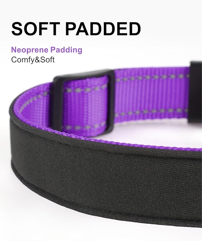 TagME Airtag Dog Collar,Waterproof Reflective Pet Collar with Airtag Holder,Soft Padded and Double D-Rings for Puppy,Purple