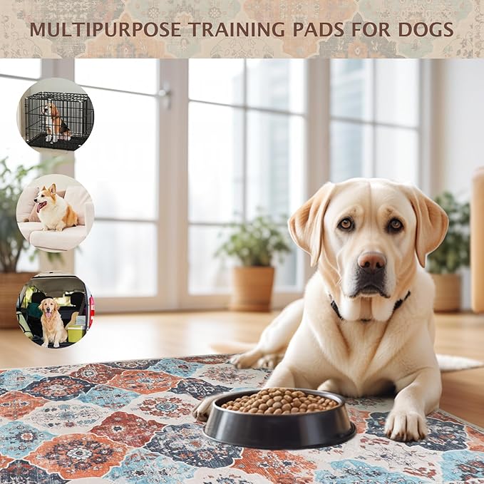 IEUUMLER Washable Pee Pads for Dogs, 2 Pack Reusable Pee Pads for Dogs Non-Slip Grip, Super Absorbent Waterproof Puppy Pads for Potty training, Playpen, Crate, Whelping Box EU011 (Orange,36" x 24")