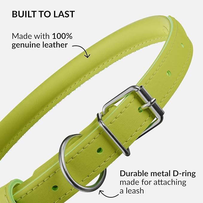 CollarDirect Rolled Leather Dog Collar, Soft Padded Round Puppy Collar, Handmade Genuine Leather Collar Dog Small Large Cat Collars 13 Colors (6 Inch, Lime Green Smooth)