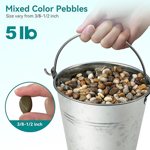 5 lbs Pebbles for Indoor Plants, Vase, Succulent, 3/8" Gravel for Plants, Pots Indoor, Bamboo Rocks for Bamboo Plants, Decorative Small River Rock, Highly Polished